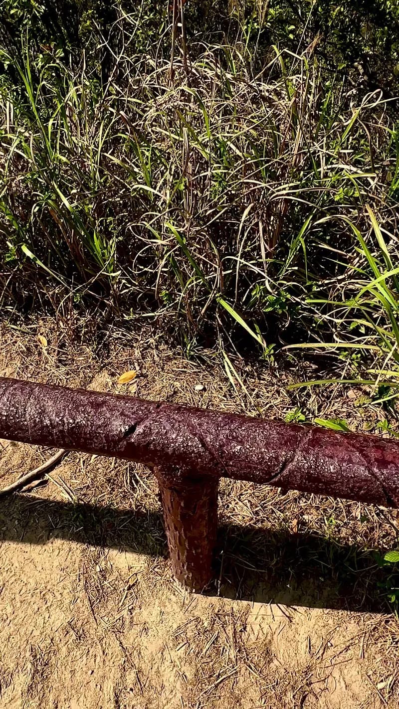 View of Jardine's Lookout in Causeway Bay, HK
