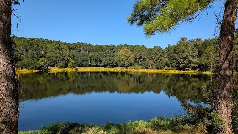 View of Jarvis Creek Fitness Trail in Hilton Head, SC