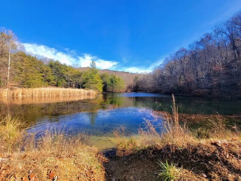 View of Jefferson Memorial Forest in Okolona, KY