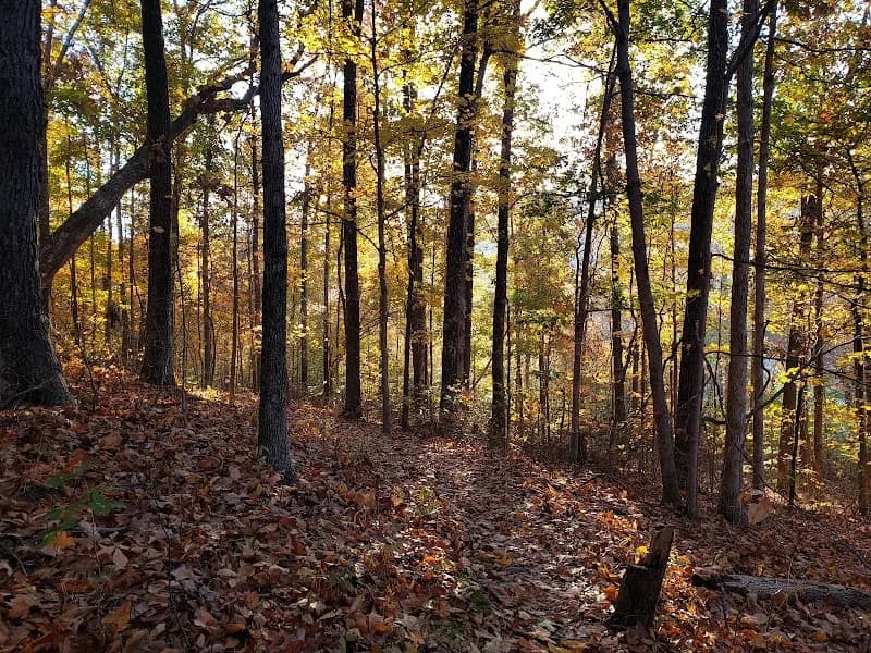 View of Jefferson Memorial Forest in Okolona, KY
