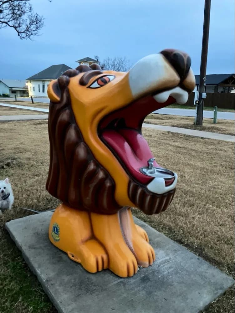 View of Jennie Lane Park in Manor, TX