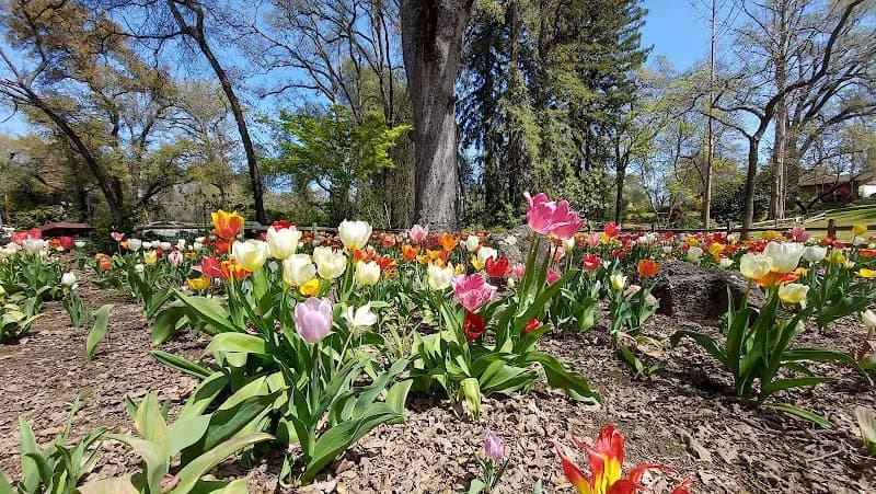 View of Jensen Botanical Garden in Carmichael, CA