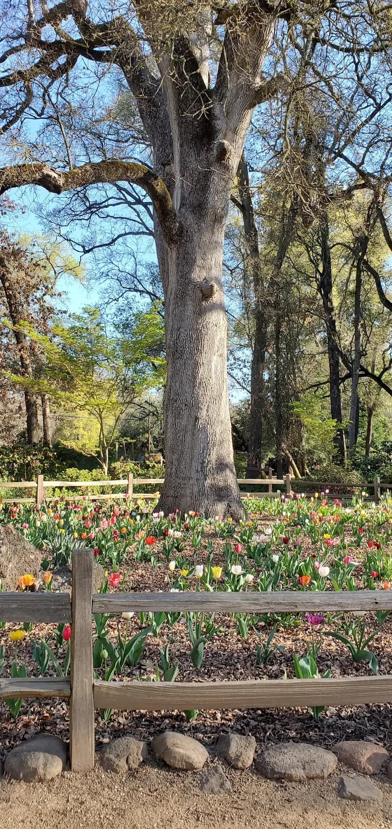View of Jensen Botanical Garden in Carmichael, CA