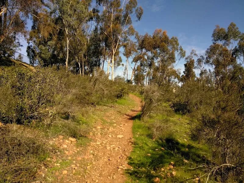 View of Jerabek Park in Scripps Ranch, CA