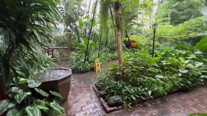 View of Jim Thompson House Museum in Pathum Wan, BKK