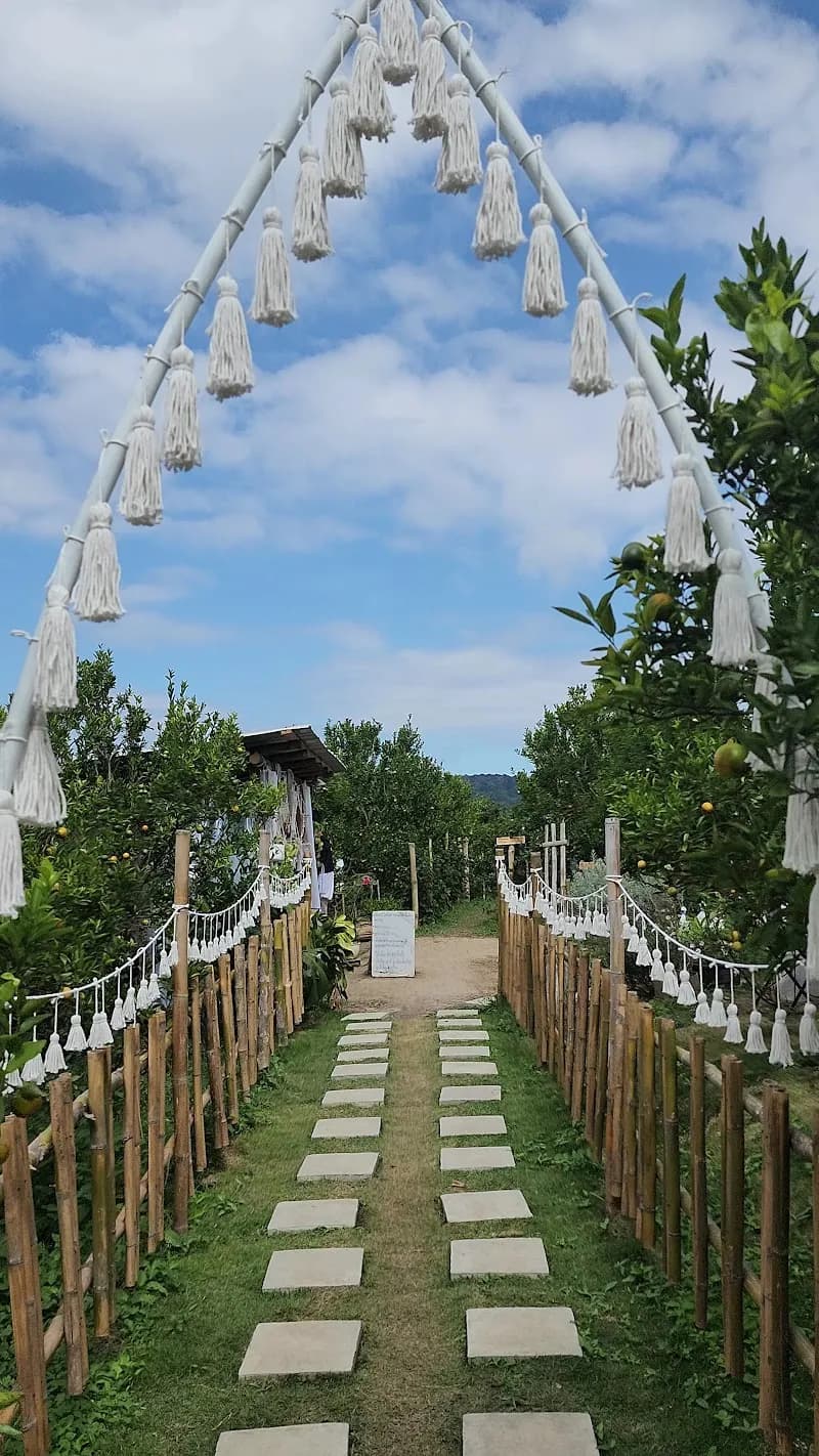 View of Jin Ju Orange Farm Mae Rim in Mae Rim, CM