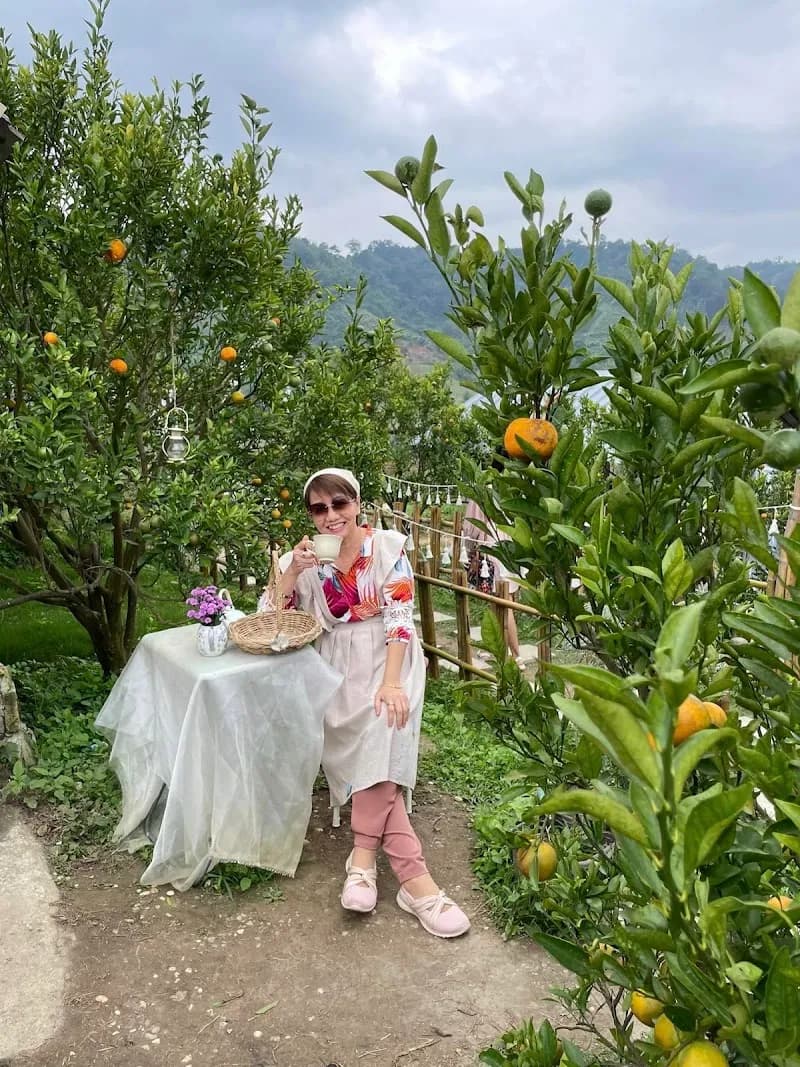 View of Jin Ju Orange Farm Mae Rim in Mae Rim, CM