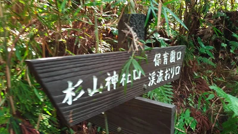 View of Jingashita Keikoku Park in Hodogaya, Kanagawa