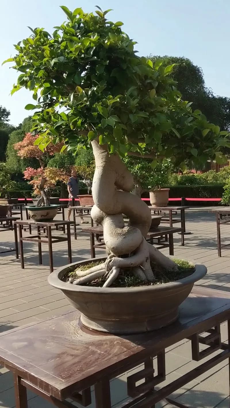 View of Jingshan Park in Beijing, BJ