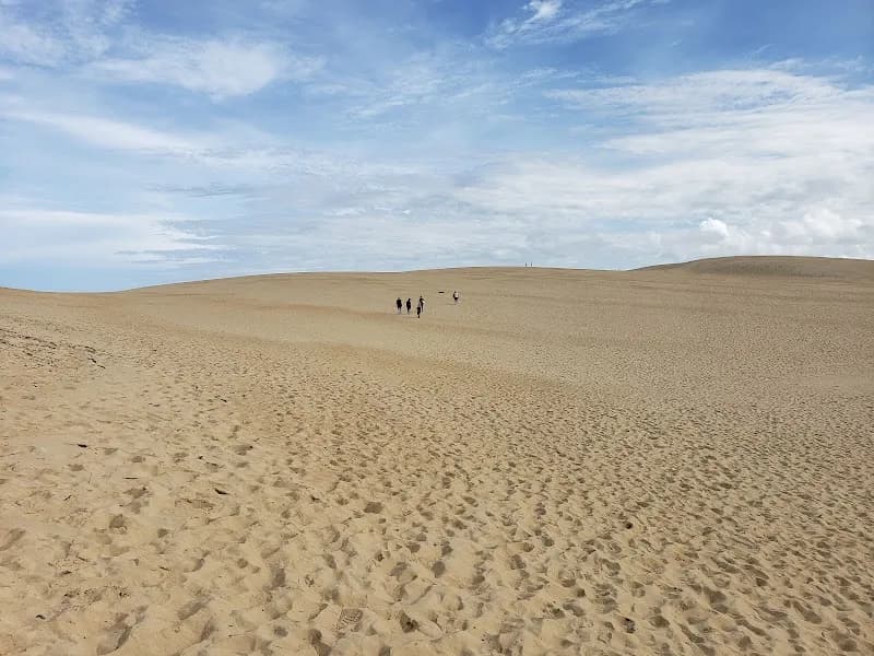 Jockey's Ridge State Park state park in Nags Head, NC