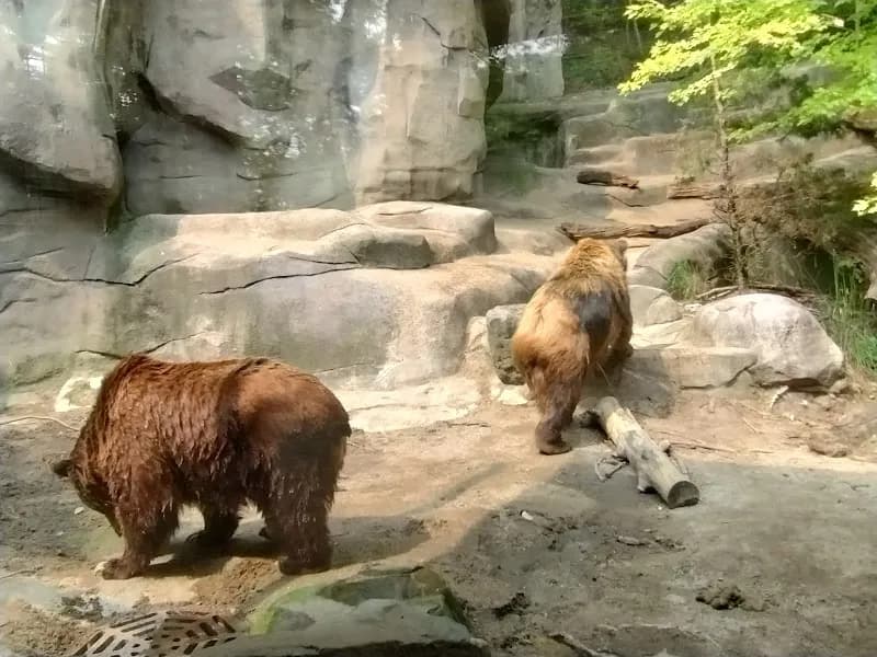 John Ball Zoo zoo in Grand Rapids, MI