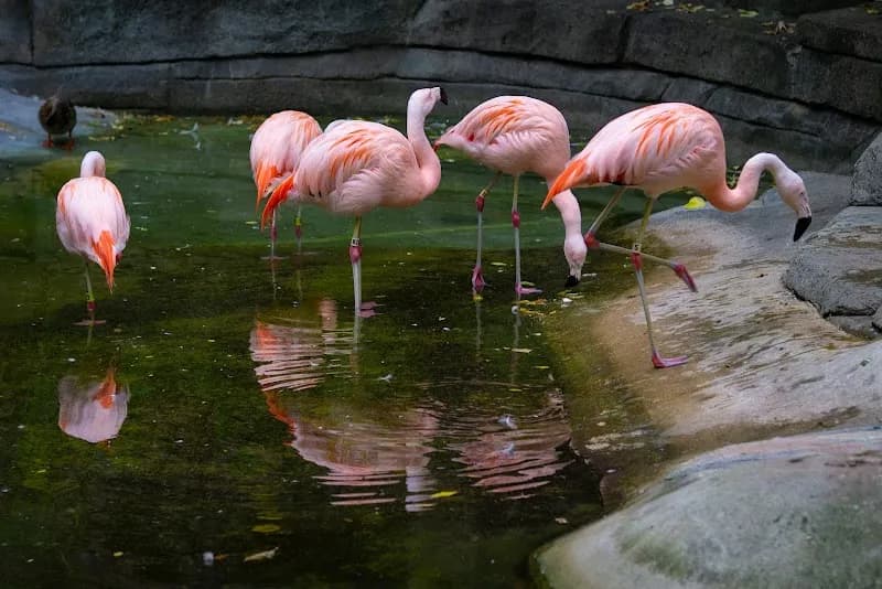 View of John Ball Zoo in Grand Rapids, MI