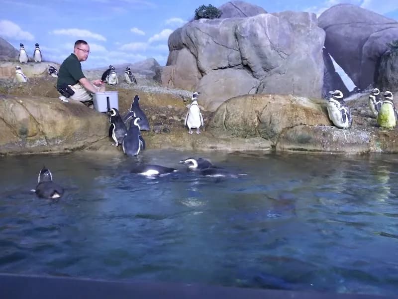 View of John Ball Zoo in Grand Rapids, MI