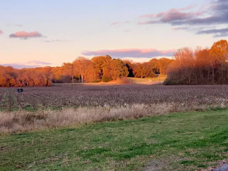View of Johnson Creek Greenway in Horn Lake, MS