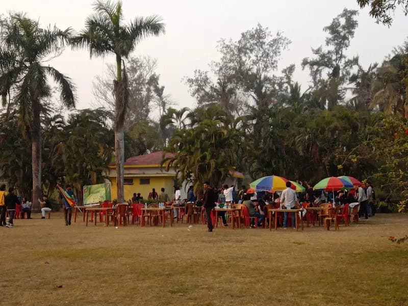 Joyland Park park in Lincoln, CA