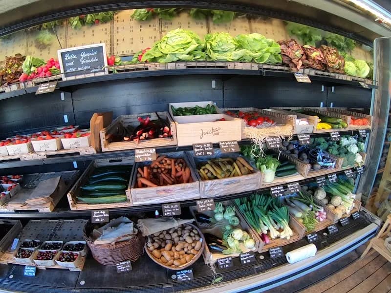 View of Juckerfarm in Thalwil, ZH