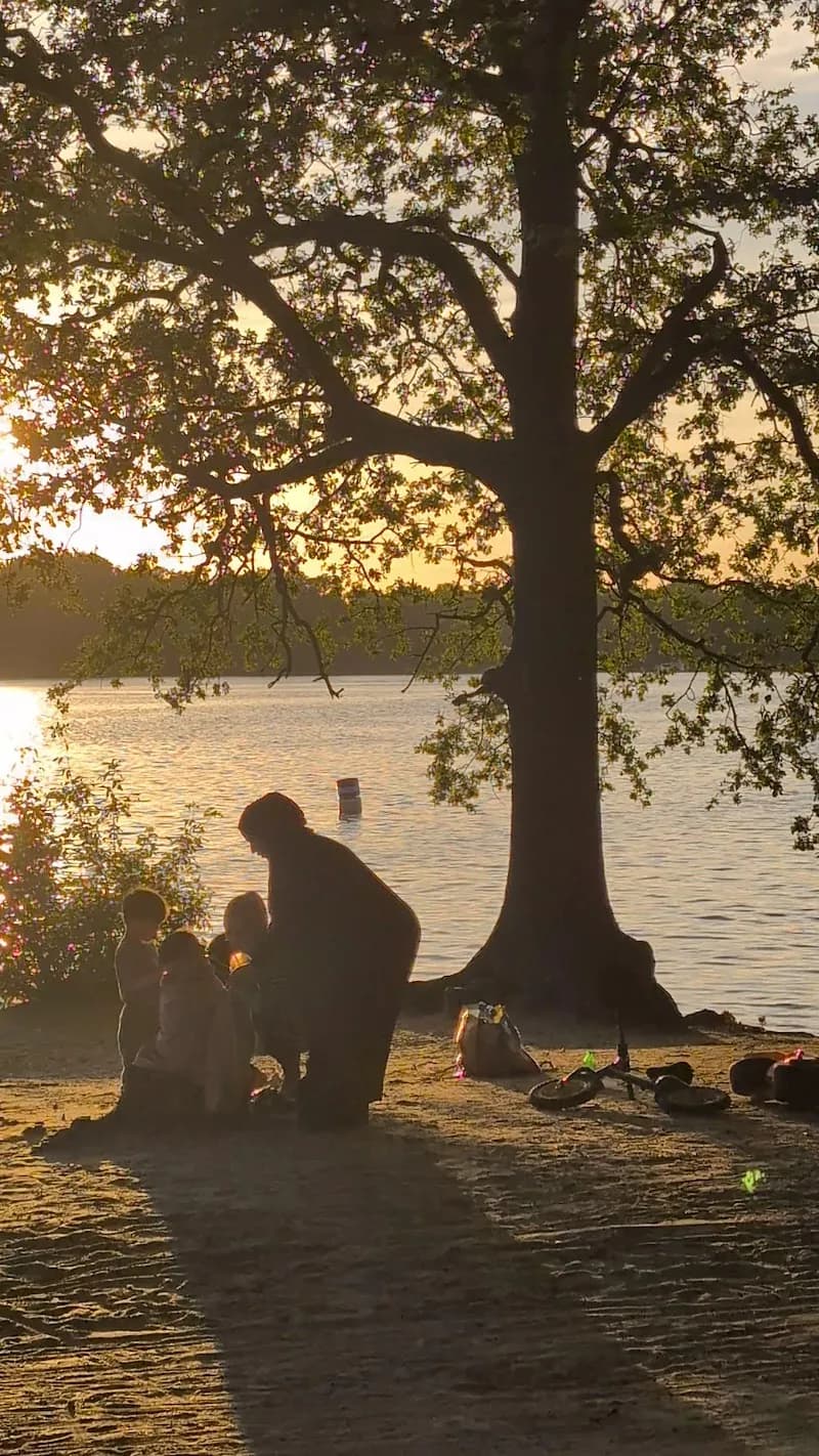 View of Jungfernheide Forst in Oranienburg, BB