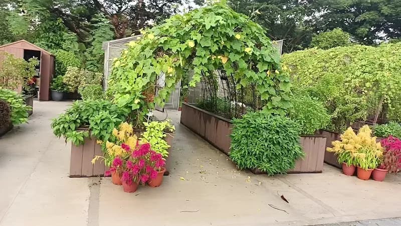 View of Jurong Lake Gardens in Jurong, SG