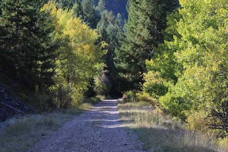 View of K Williams Natural Trail Area in Missoula, MT