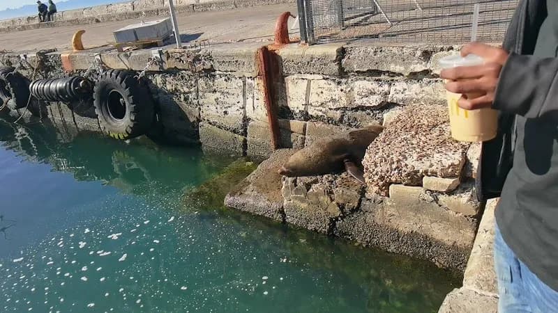 View of Kalk Bay Mule Museum in Kalk Bay, WC