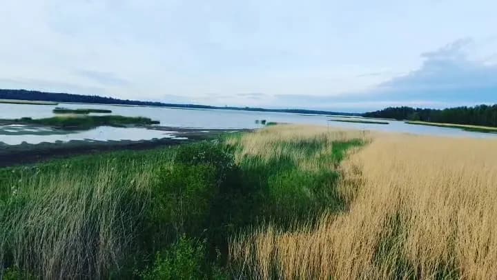 View of Kallaela Nature Reserve in Espoo, Uusimaa