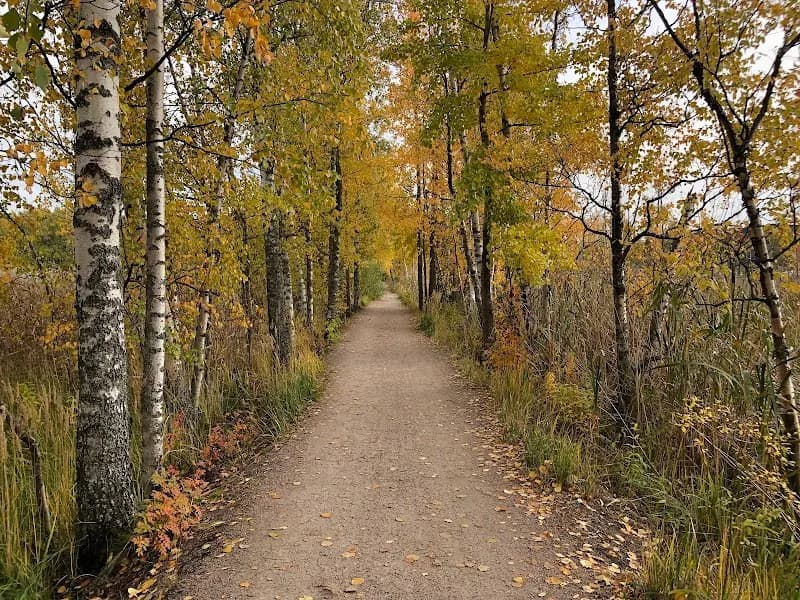 View of Kallaela Nature Reserve in Espoo, Uusimaa