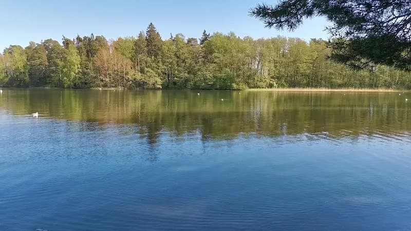 View of Kallalahdenharju Nature Reserve in Espoo, Uusimaa