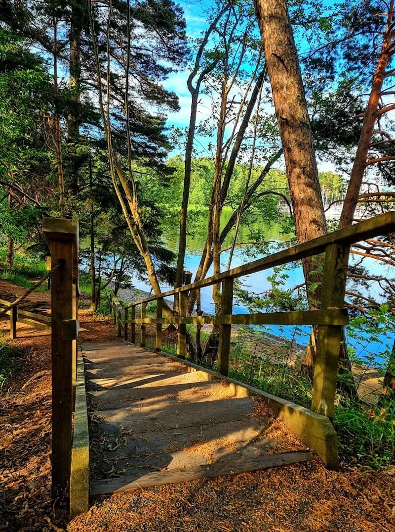 View of Kallalahdenharju Nature Reserve in Espoo, Uusimaa
