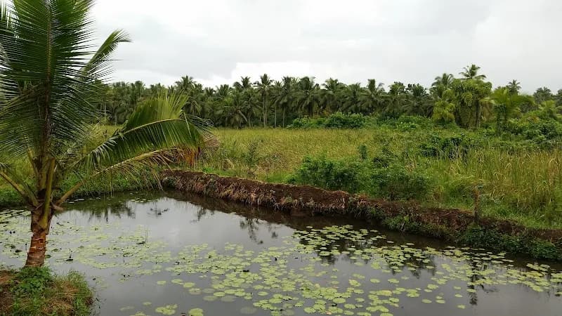 Kalutara administrative area level 2 in Kalutara, WP