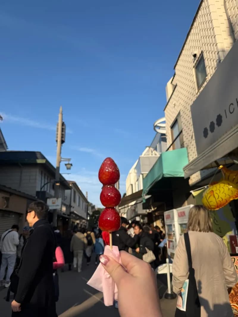 View of Kamakura Dori Shopping Street in Hayama, Kanagawa