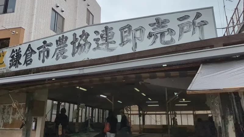 View of Kamakura Marché in Kamakura, Kanagawa