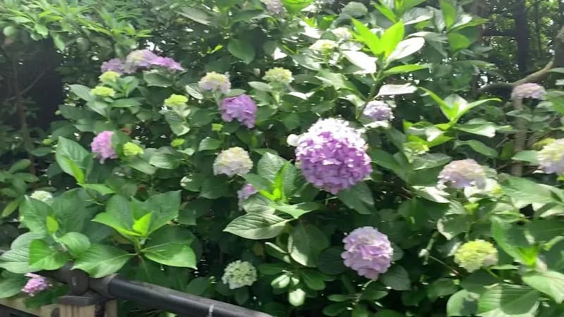 View of Kamakura Seaside Park in Kamakura, Kanagawa