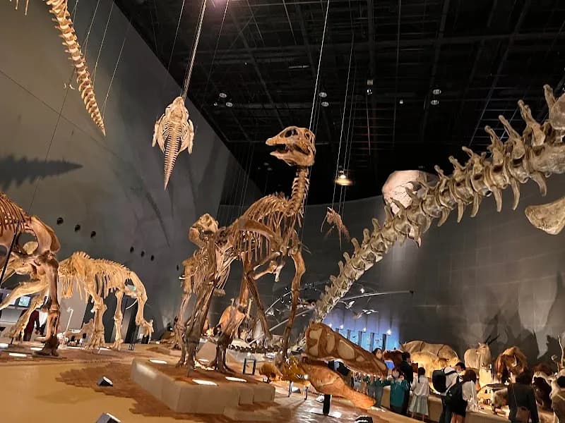 View of Kanagawa Prefectural Museum of Natural History in Odawara, Kanagawa