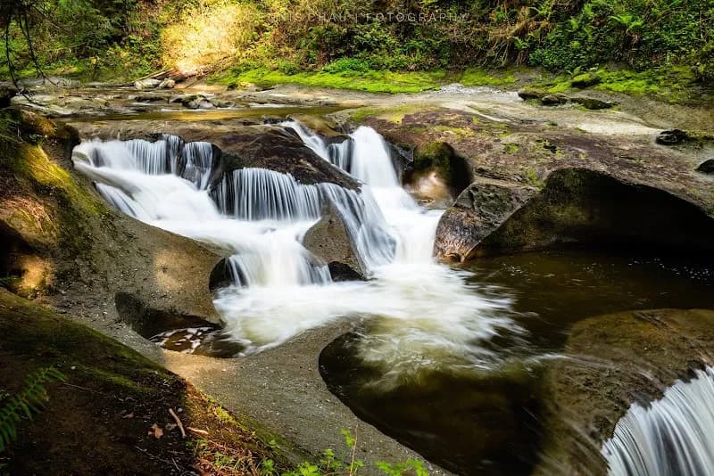 View of Kanaka Creek Regional Park in Maple Ridge, BC