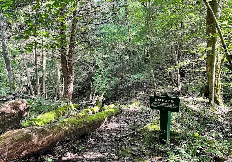 View of Kanawha State Forest in Charleston, WV