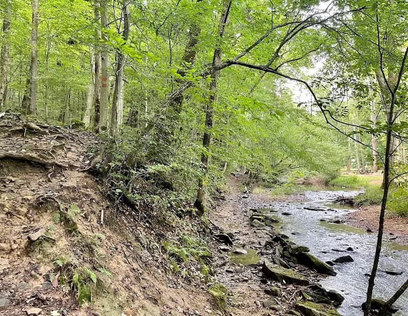View of Kanawha State Forest in Charleston, WV