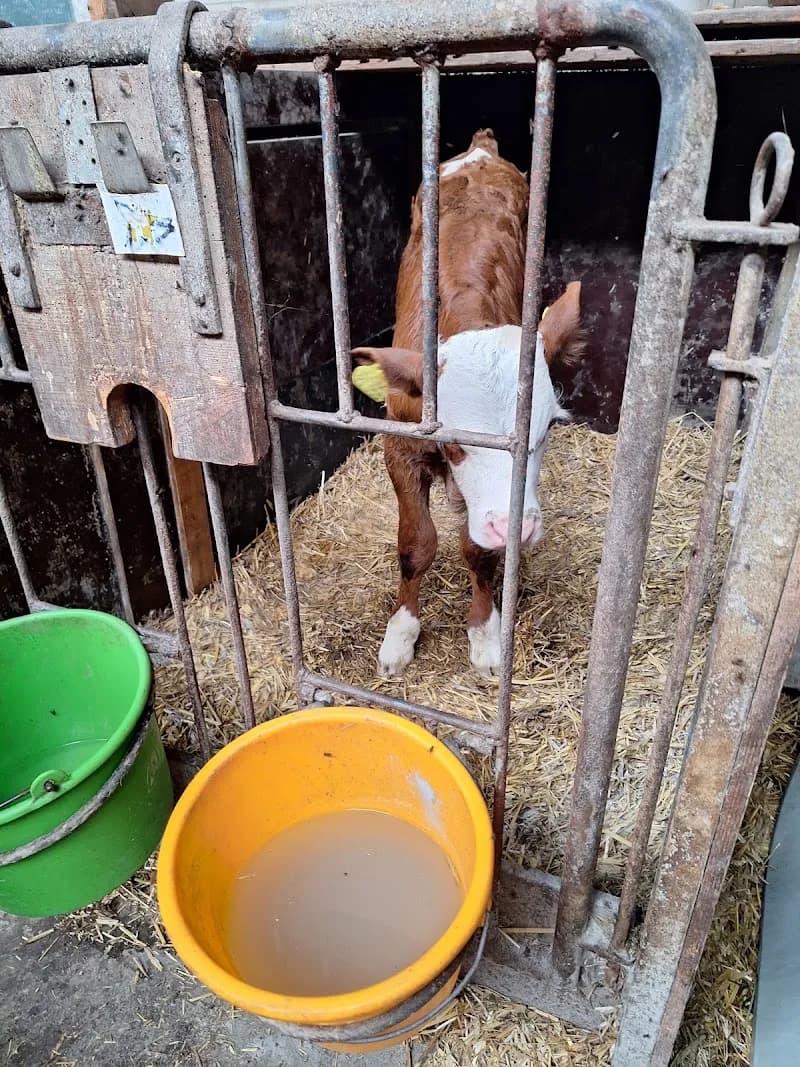 View of Kandlerhof Lern- und Erlebnishof in Fürstenfeldbruck, BY