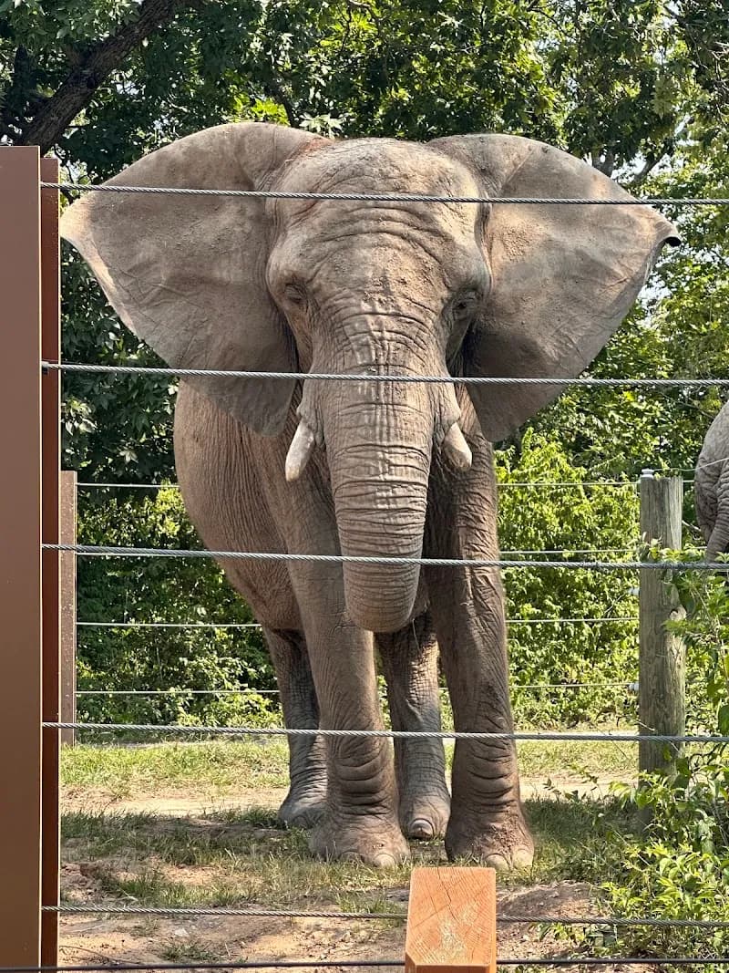 View of Kansas City Zoo & Aquarium in Kansas City, MO