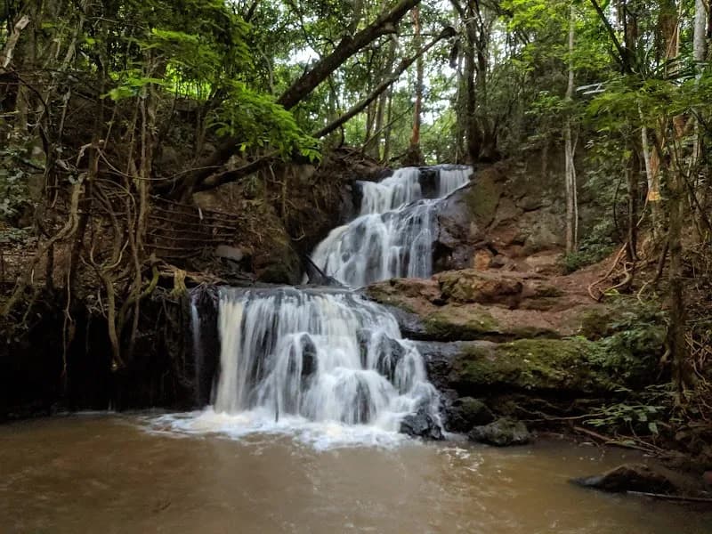 Karura Forest- Sigiria park in Kilimani, Nairobi