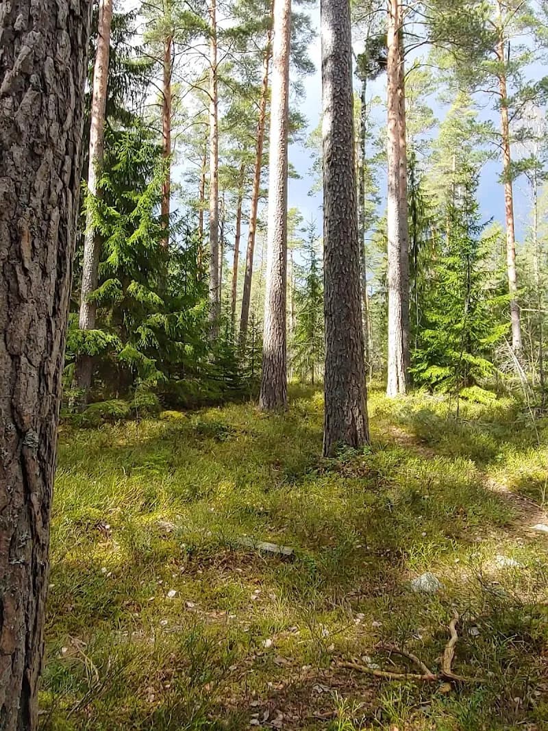 Kasavuori Outdoor Recreation Area wildlife refuge in Kauniainen, Uusimaa