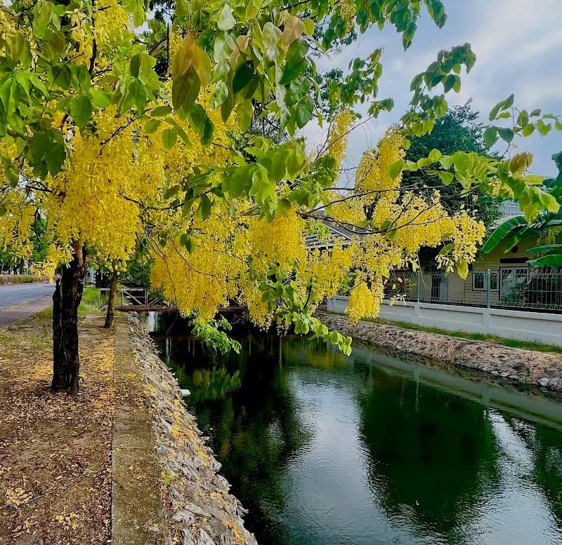 View of Kasetsart University in Bang Khen, BKK