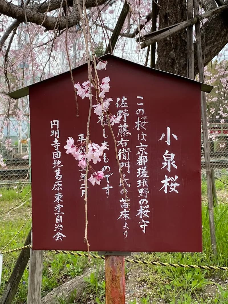 Katsura River Wetland Park nature in Nagaokakyo, KYO