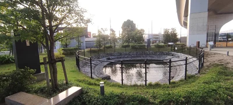 View of Katsura River Wetland Park in Nagaokakyo, KYO
