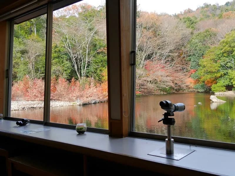 Katsuragawa Wild Bird Park park in Nagaokakyo, KYO