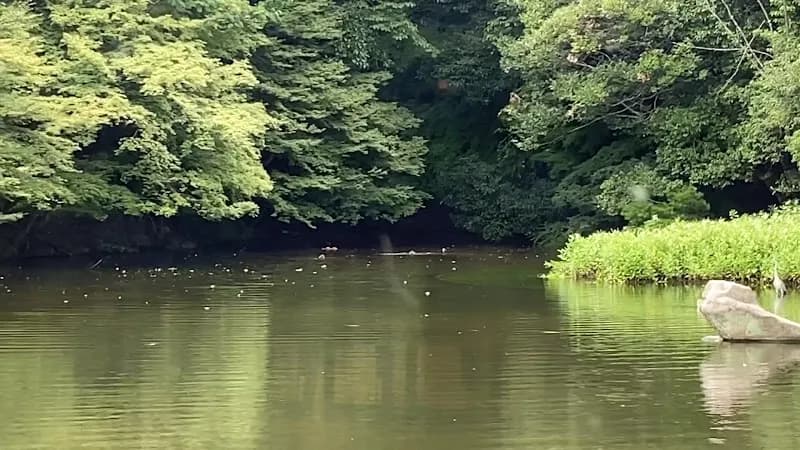 View of Katsuragawa Wild Bird Park in Nagaokakyo, KYO