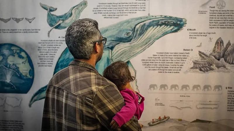 View of Kaua'i Ocean Discovery Center in Kauai, HI
