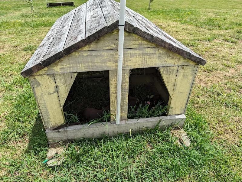 View of Kaukapakapa Regional Park in Kumeu, AKL
