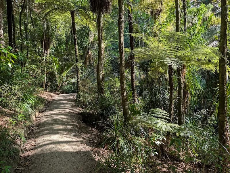 Kauri Glen Reserve park in Waitakere, AKL