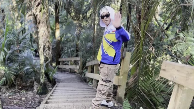 View of Kauri Glen Reserve in Waitakere, AKL