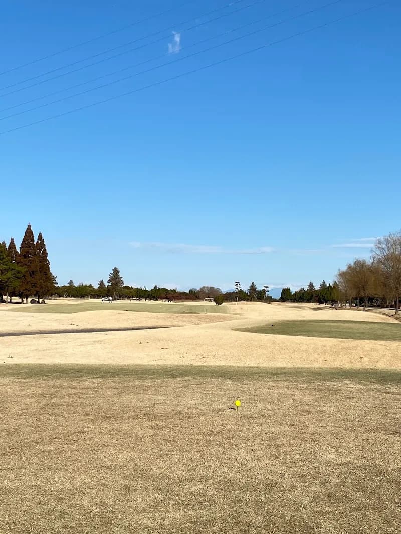 View of Kawagoe Green Cross in Kawagoe, Saitama